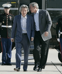 koizumi&bushu.gif koizumi&bushu.gif