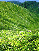 natuyama-3.gif natuyama-3.gif